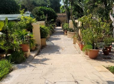 The main villa pathway of the Argotti Botanic Gardens.