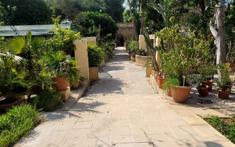 The main villa pathway of the Argotti Botanic Gardens.