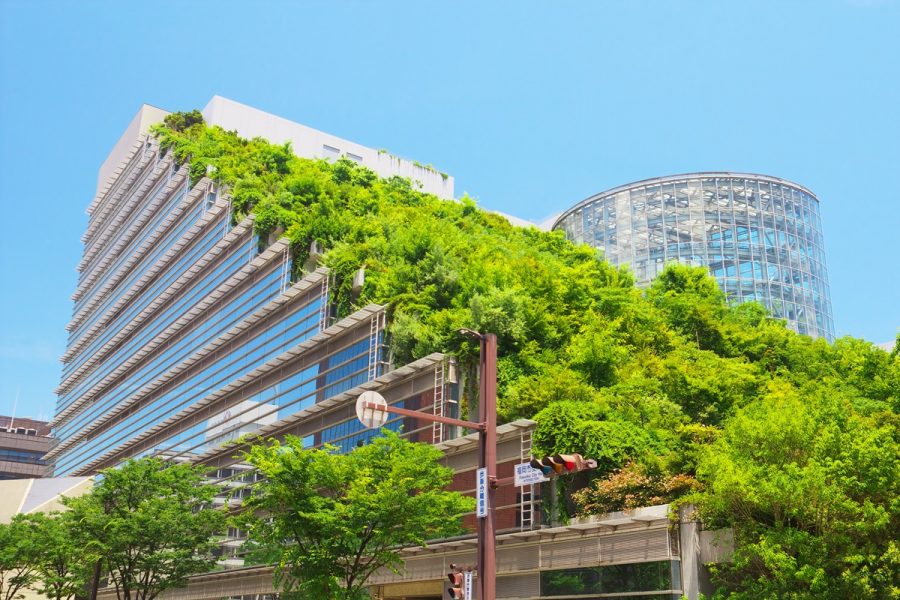 ‘Rooftop greenery should be obligatory’