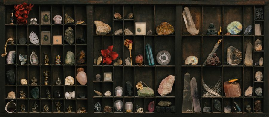 How to start your own cabinet of curiosities
