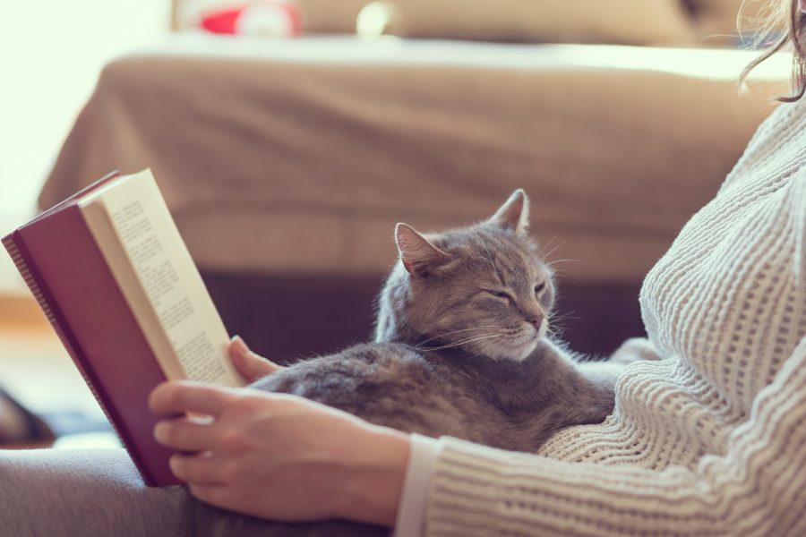 Book lover with loads of cat photos?