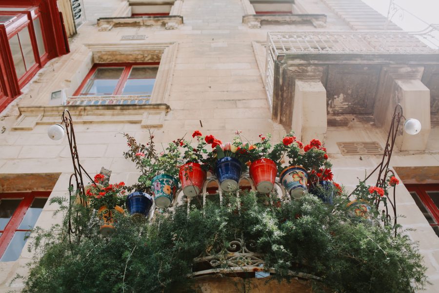 Top 5 balcony plants for the Maltese spring