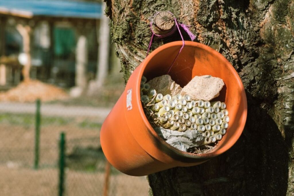 A bee hotel