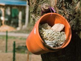 A bee hotel
