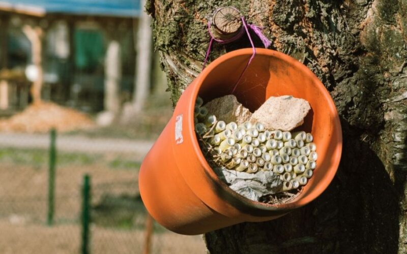 A bee hotel