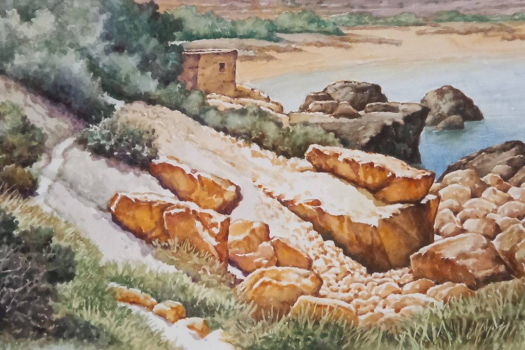 Rugged Gozo coastline