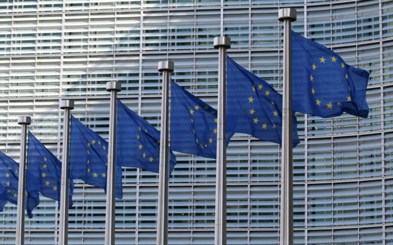 EU flags