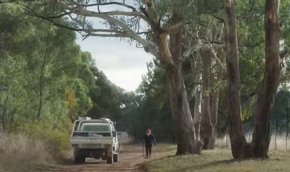 a man and a car on a tree-lined avenue