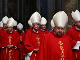 Cardinals fashion red