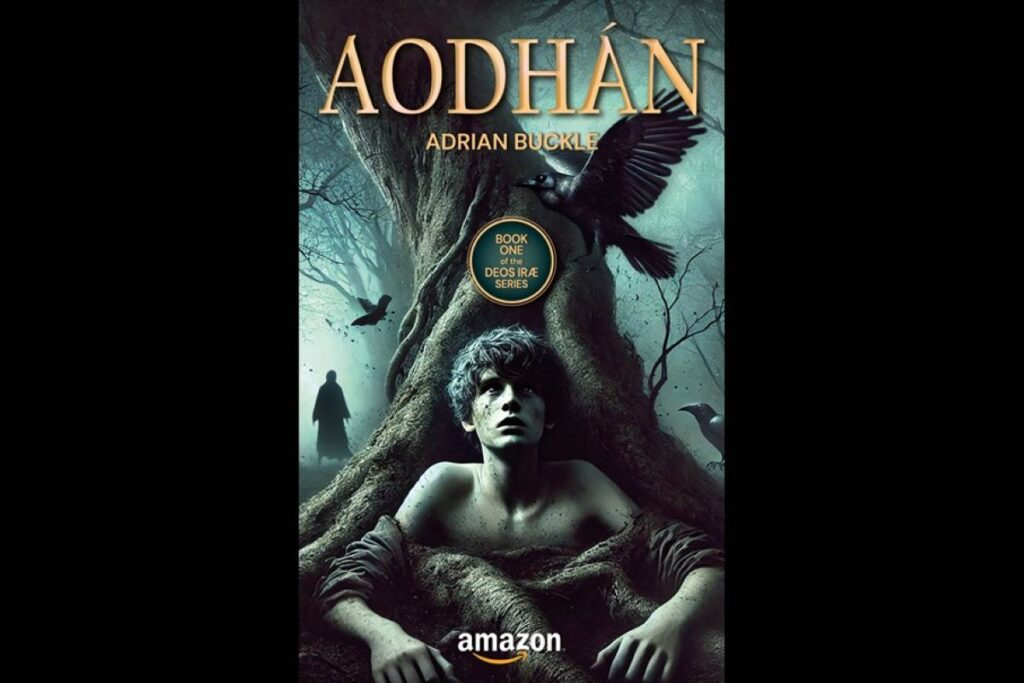The book cover of Aodhán