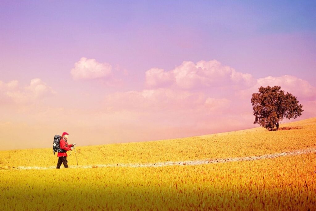 a man walking across a golden field