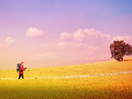 a man walking across a golden field