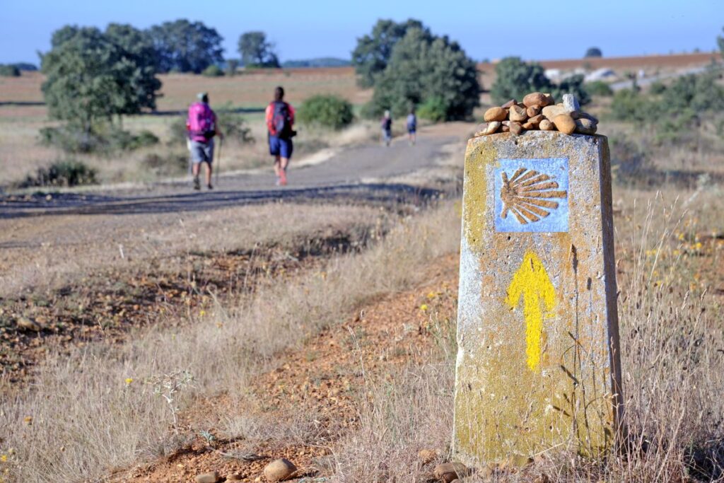 The Camino walk