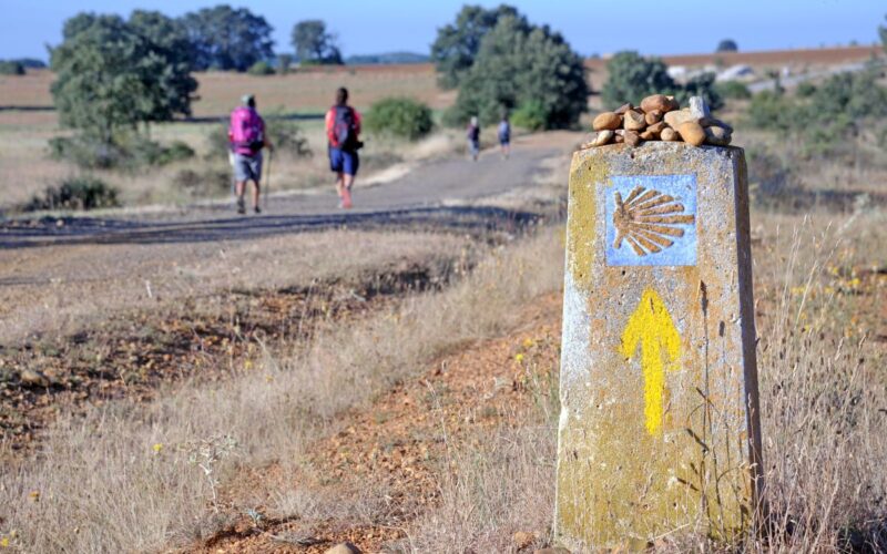 The Camino walk