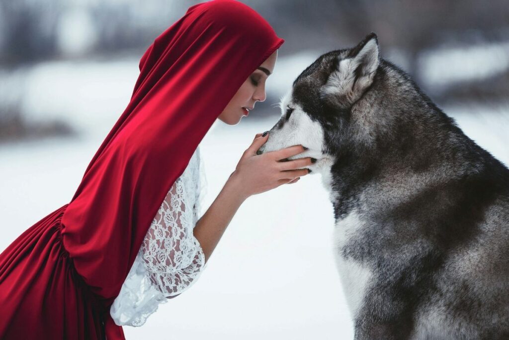 An adult 'Red Riding Hood' face to face with a wolf.