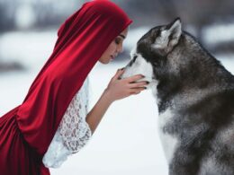 An adult 'Red Riding Hood' face to face with a wolf.