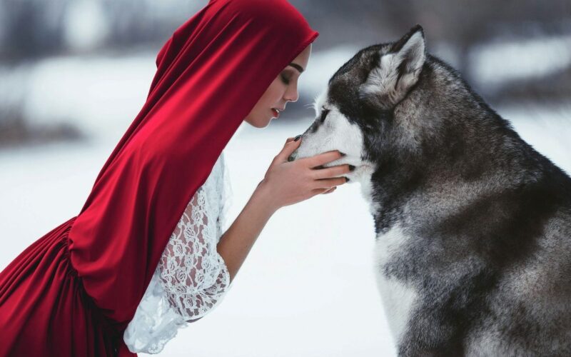 An adult 'Red Riding Hood' face to face with a wolf.