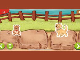 An onc-screen view of two dogs on rocks by a fence