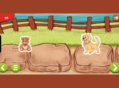 An onc-screen view of two dogs on rocks by a fence