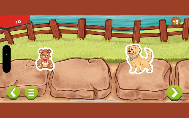 An onc-screen view of two dogs on rocks by a fence