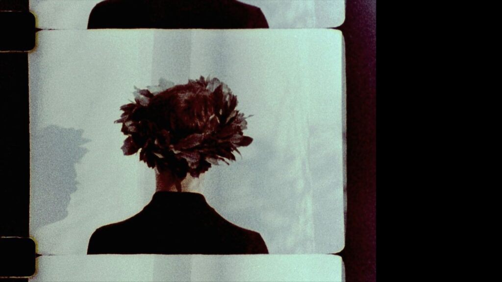 Stylised imagery of the back of a woman's head