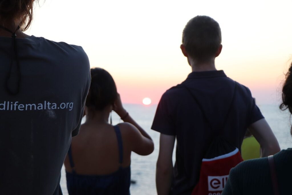 People looking towards the setting sun with binoculars