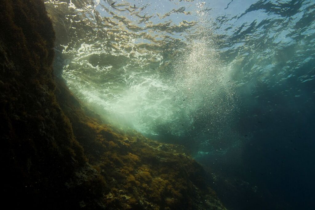An underwater photograph