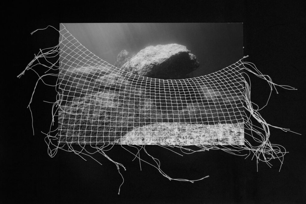 A black and white altered underwater with a thread fishing net
