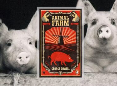 Pigs and the book cover of George Orwell's Animal Farm