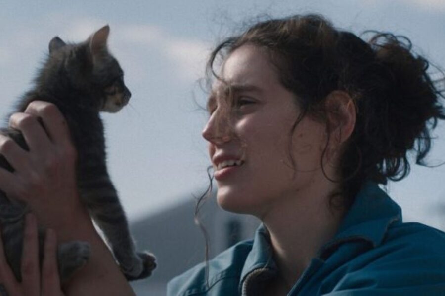 Sorry, Baby: bad things will happen, but friends (and cats) help