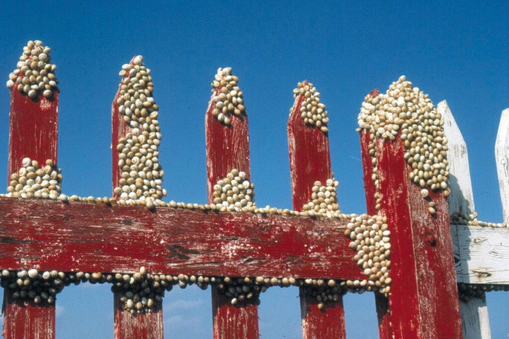 Many small snails on a red fence
