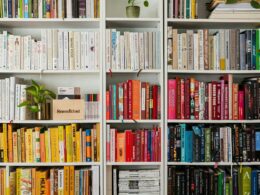 Bookshelves in a taateful aesthetic