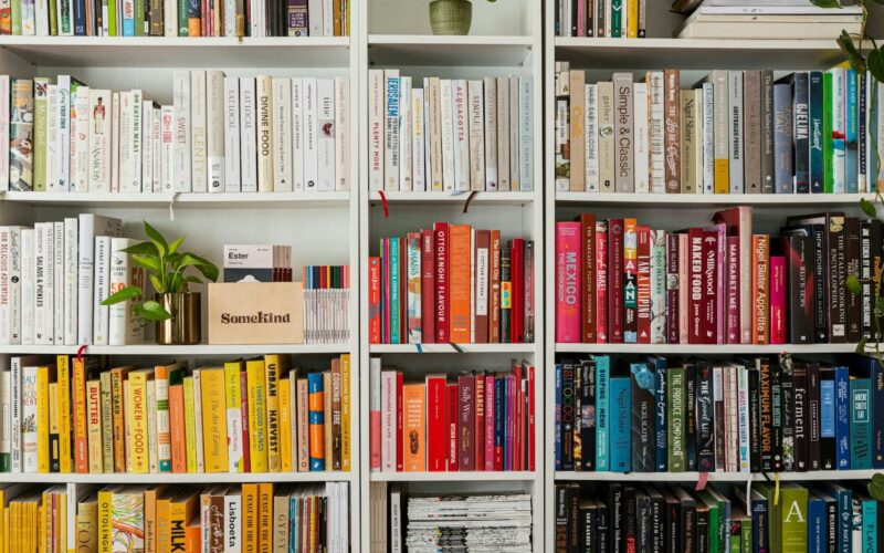 Bookshelves in a taateful aesthetic