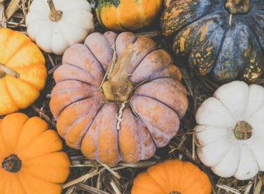 pumpkins
