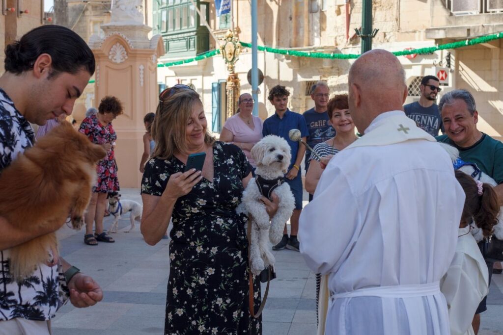 The blessing of animals in Balzan in July