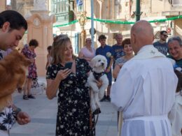 The blessing of animals in Balzan in July