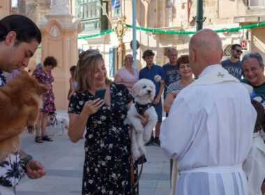The blessing of animals in Balzan in July