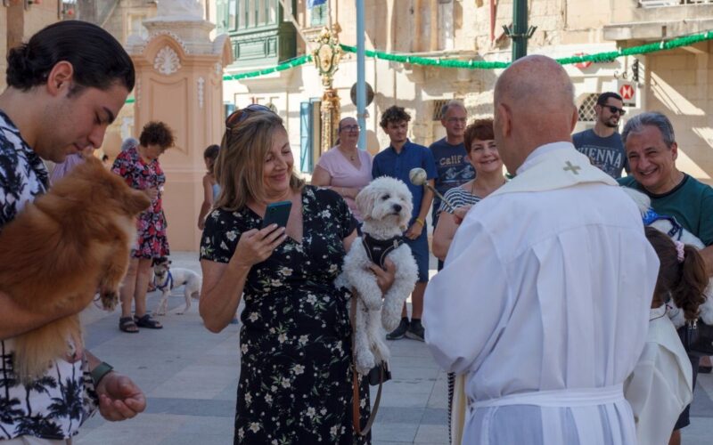 The blessing of animals in Balzan in July