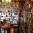 Bookshelf wealth