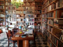 Bookshelf wealth