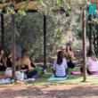 people sitting on mats amongst trees