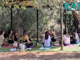 people sitting on mats amongst trees